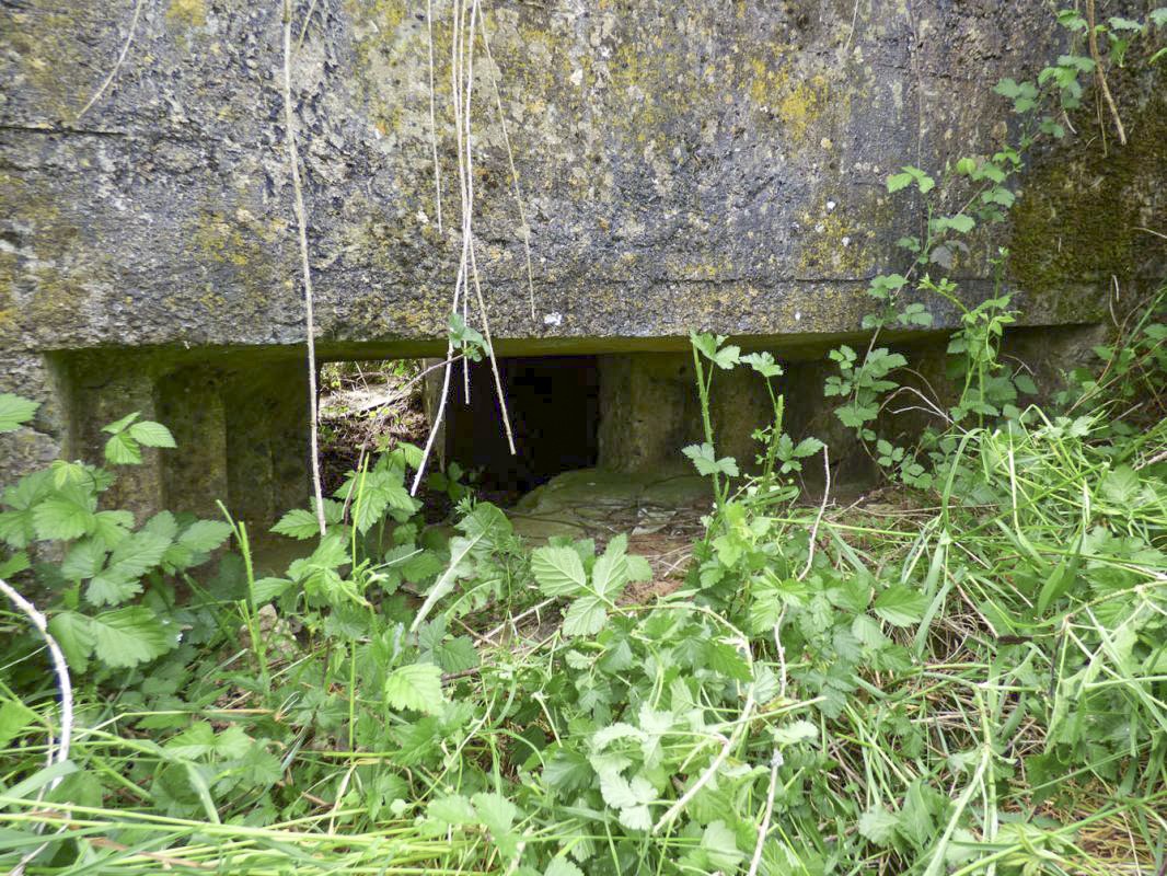 Ligne Maginot - BB80-A - LE TILLEUL - (Blockhaus pour canon) -  - JMBrams