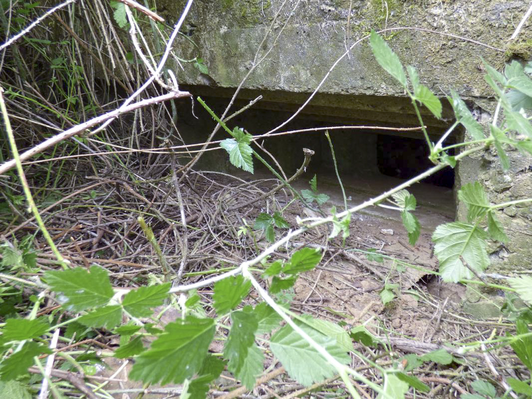 Ligne Maginot - BB80-A - LE TILLEUL - (Blockhaus pour canon) -  - JMBrams