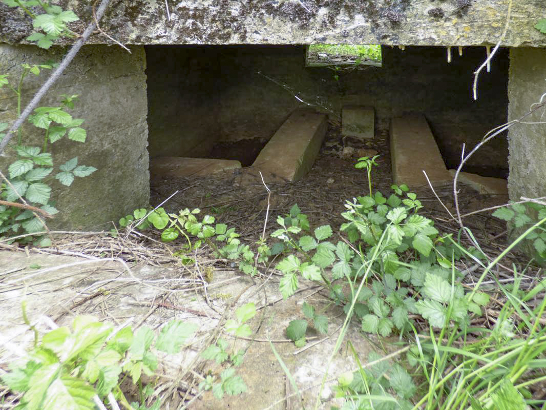 Ligne Maginot - BB80-A - LE TILLEUL - (Blockhaus pour canon) -  - JMBrams