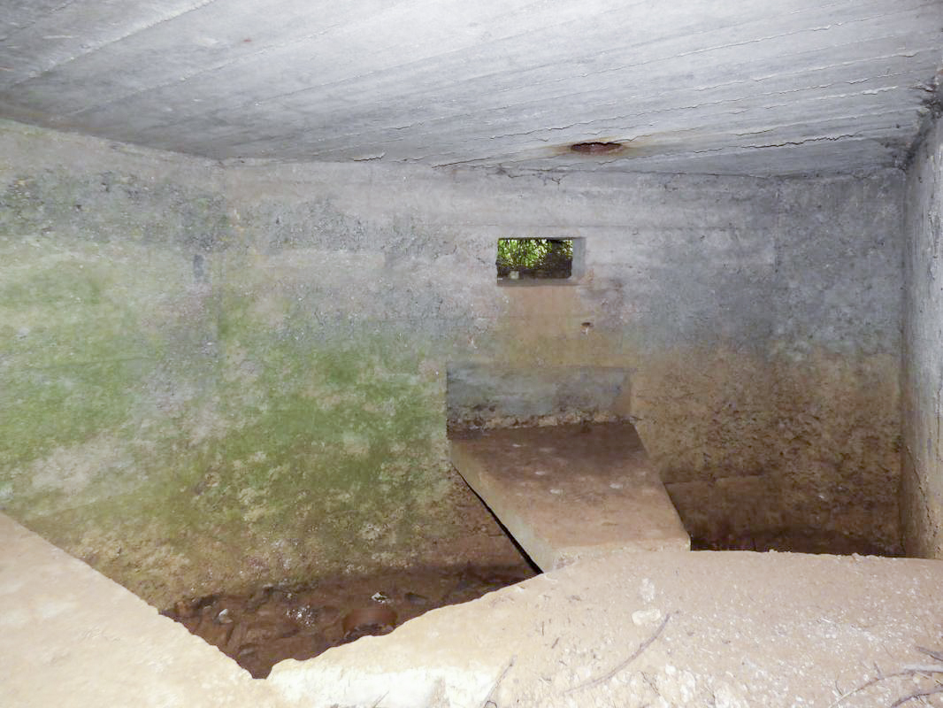 Ligne Maginot - BB80-A - LE TILLEUL - (Blockhaus pour canon) -  - JMBrams