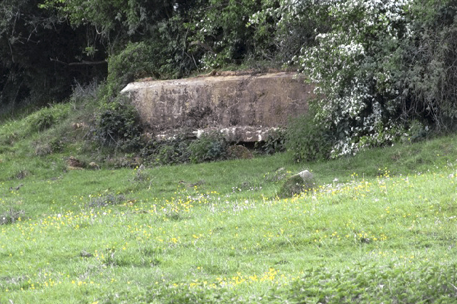 Ligne Maginot - BB80-C - BOUTANCOURT - (Blockhaus pour canon) -  - François MATHOT