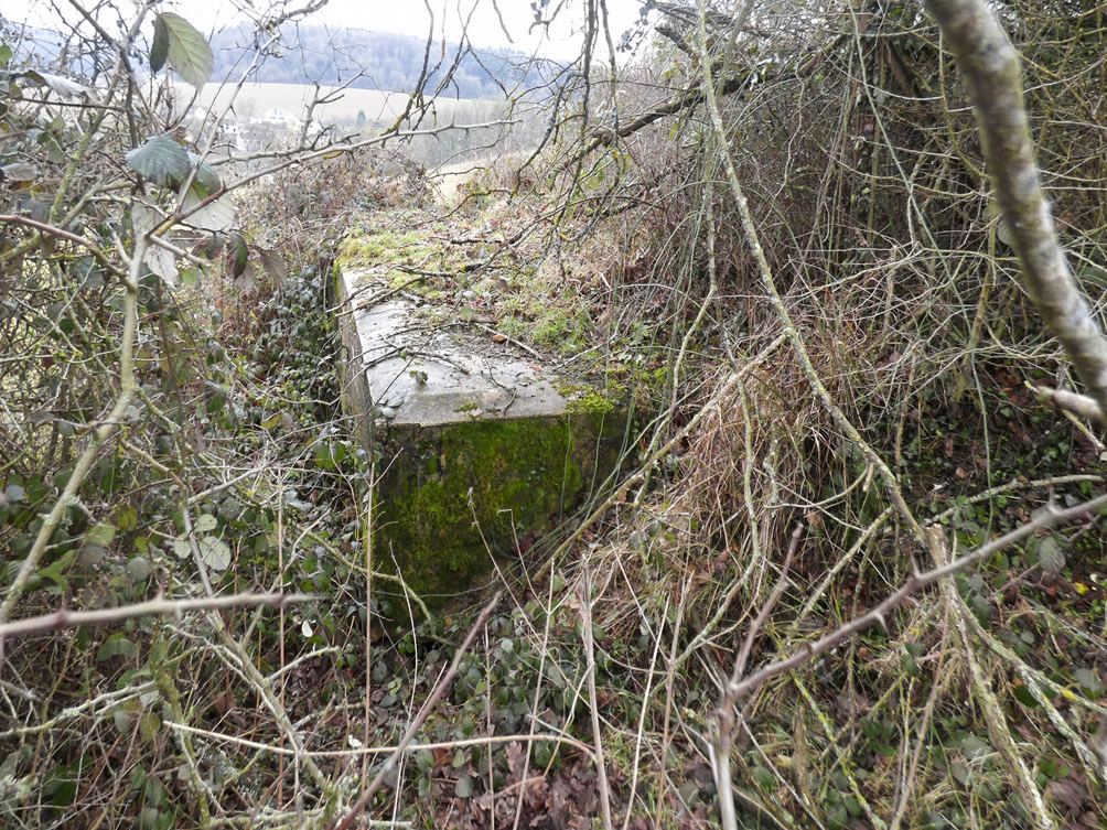 Ligne Maginot - BB80-C - BOUTANCOURT - (Blockhaus pour canon) -  - JMBrams