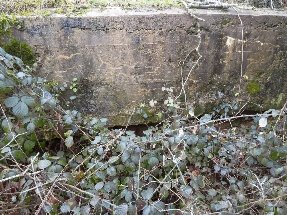 Ligne Maginot - BB80-C - BOUTANCOURT - (Blockhaus pour canon) -  - JMBrams