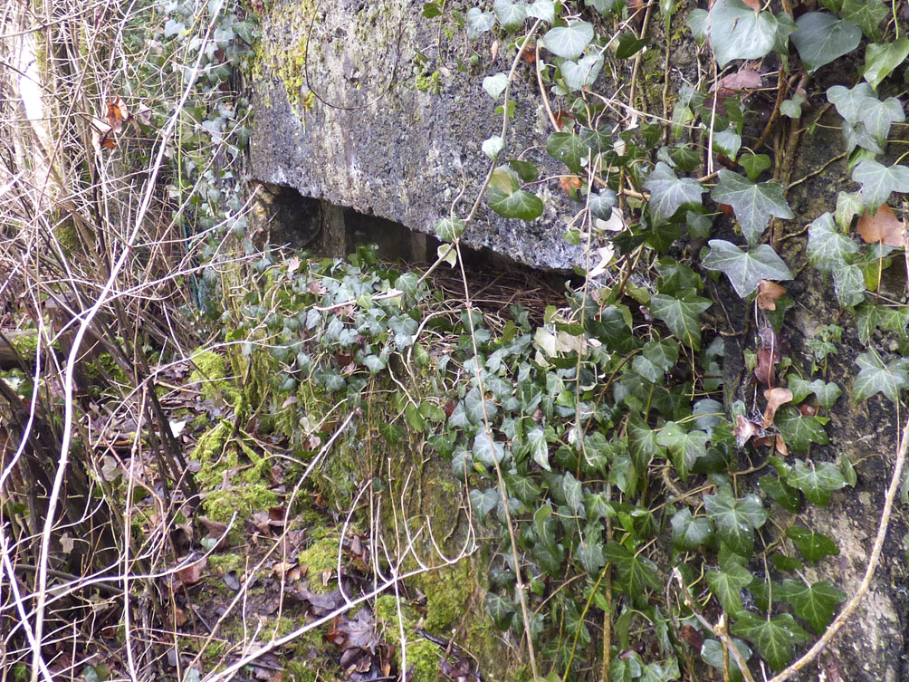 Ligne Maginot - BB80-D - PONT-RAIL DE FLIZE - (Blockhaus pour arme infanterie) -  - JMBrams