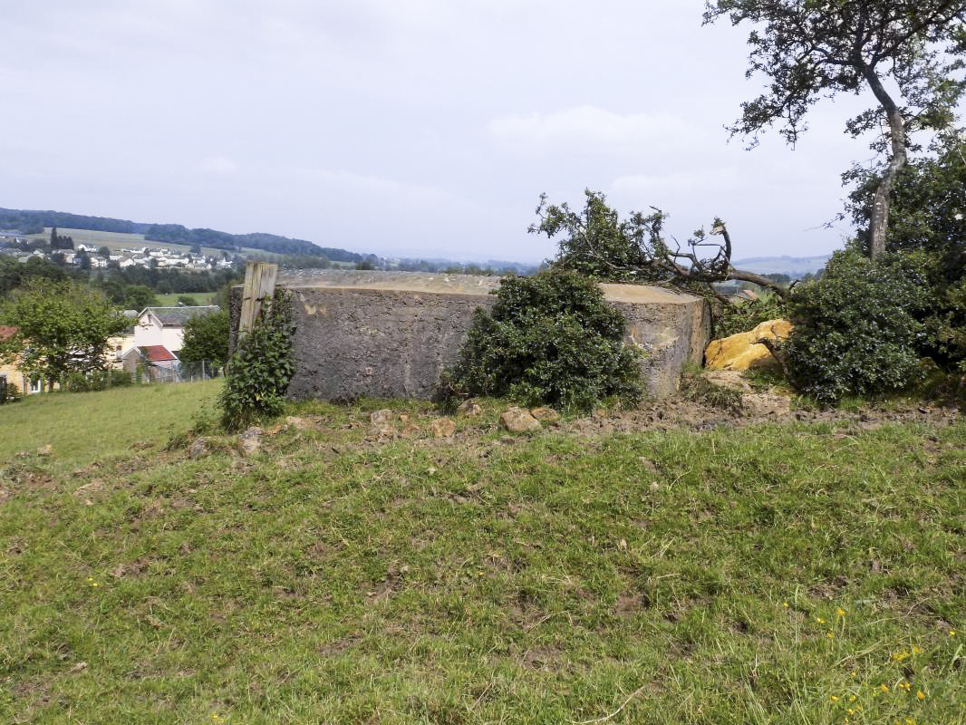 Ligne Maginot - BB80 - L'ORANGERIE - (Blockhaus pour canon) - Face gauche - R Tucker