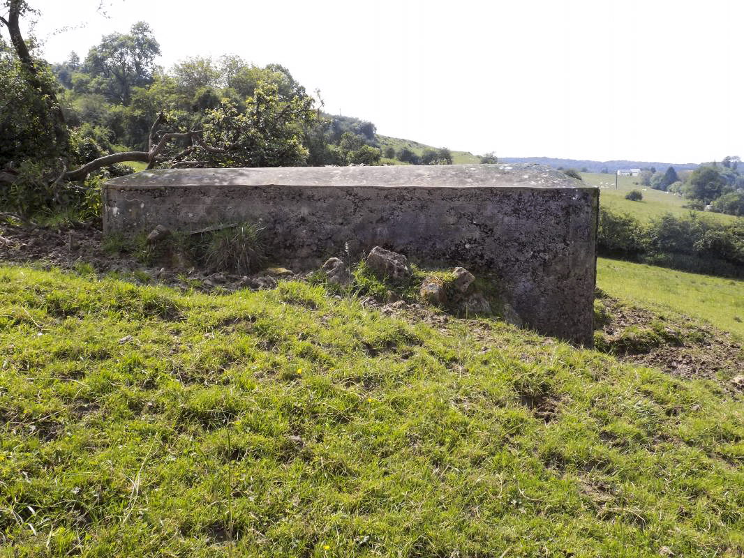 Ligne Maginot - BB80 - L'ORANGERIE - (Blockhaus pour canon) - Face droite - R Tucker