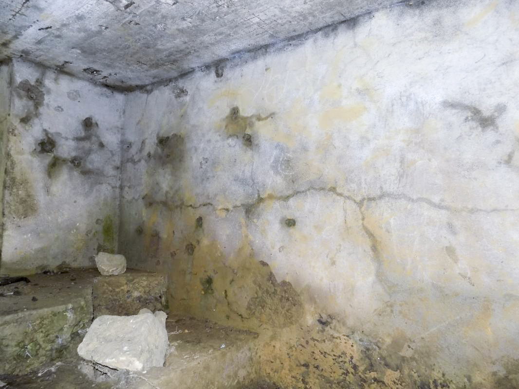 Ligne Maginot - BB80 - L'ORANGERIE - (Blockhaus pour canon) - Face gauche, sans créneau - R Tucker
