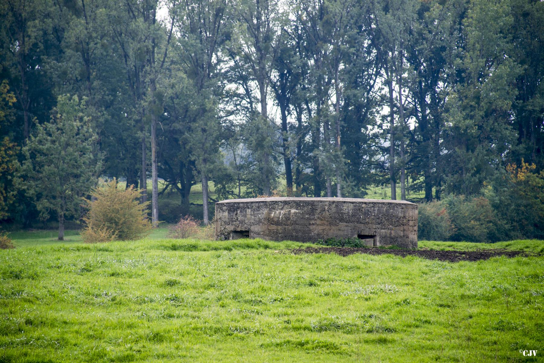 Ligne Maginot - BB83 - LE MESNIL - (Blockhaus pour arme infanterie) -  - Lia VERMEULEN