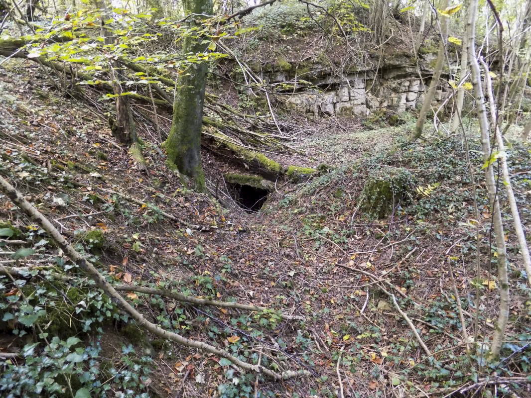Ligne Maginot - La FALAISE (CM2 / III / 148° RIF) ( PC de Sous-Quartier ) - L'entrée ouest avec tranchées d'accès - R Tucker