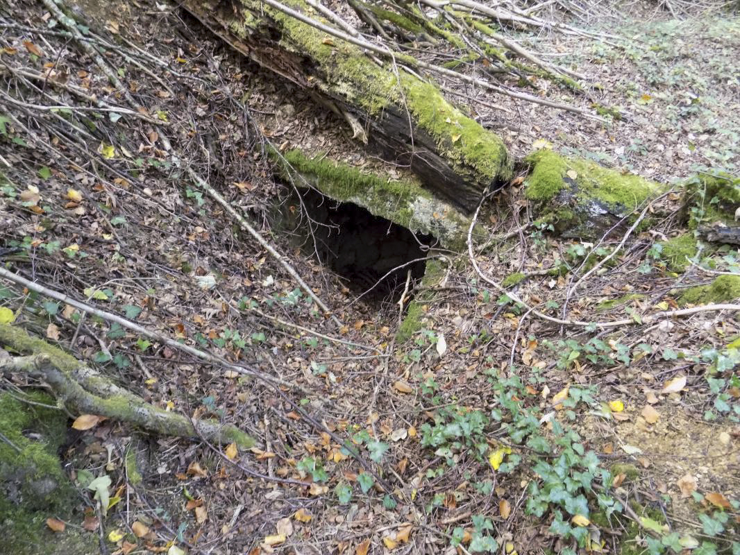 Ligne Maginot - La FALAISE (CM2 / III / 148° RIF) ( PC de Sous-Quartier ) - L'entrée ouest - R Tucker