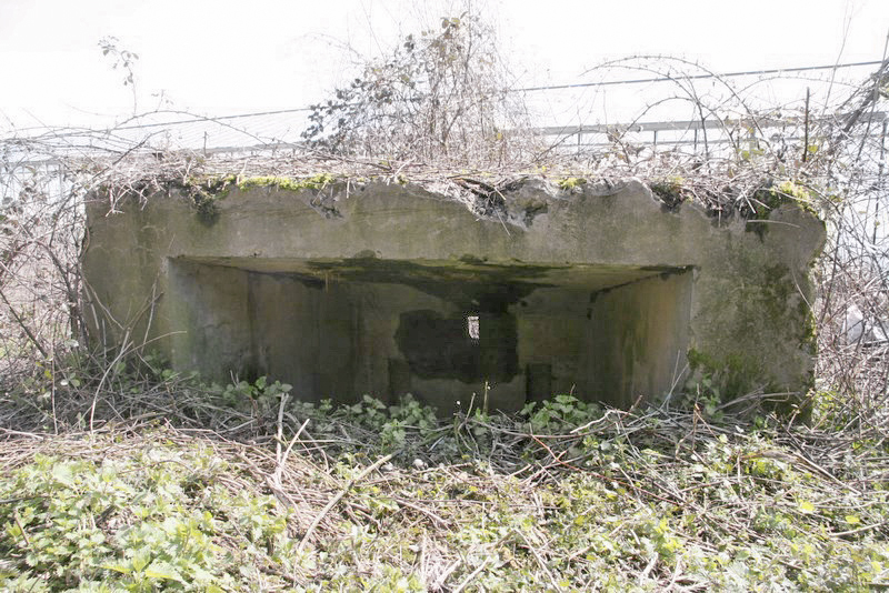 Ligne Maginot - ABO16 - STEINBESCH EST - (Blockhaus pour canon) -  - Alain Perouffe
