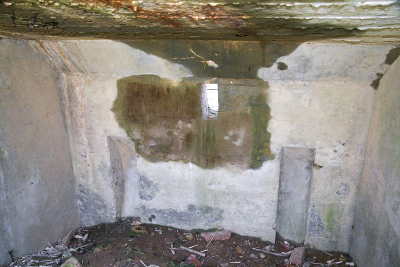 Ligne Maginot - ABO16 - STEINBESCH EST - (Blockhaus pour canon) -  - Alain Perouffe