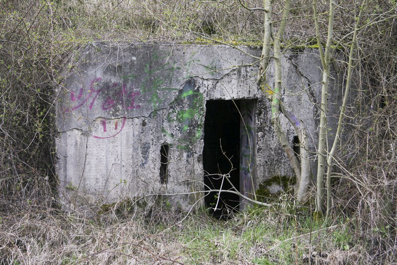 Ligne Maginot - STEINBESCH SUD (39° RAMF) - (PC) -  - Alain Perouffe