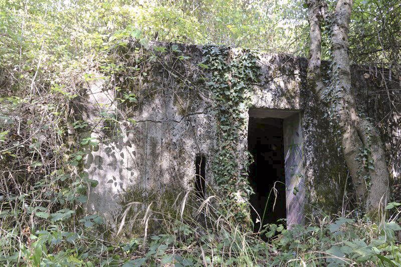 Ligne Maginot - STEINBESCH SUD (39° RAMF) - (PC) - Alvéole est - Alain Perouffe