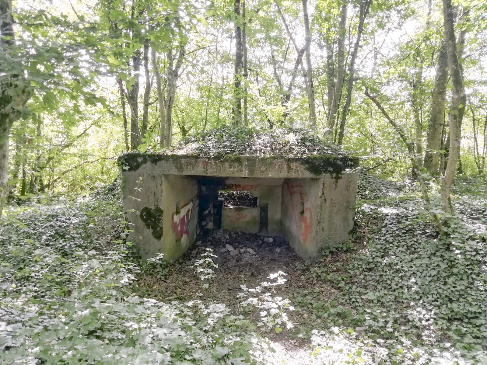 Ligne Maginot - STEINBESCH SUD - (Blockhaus pour canon) -  - Jin Jac