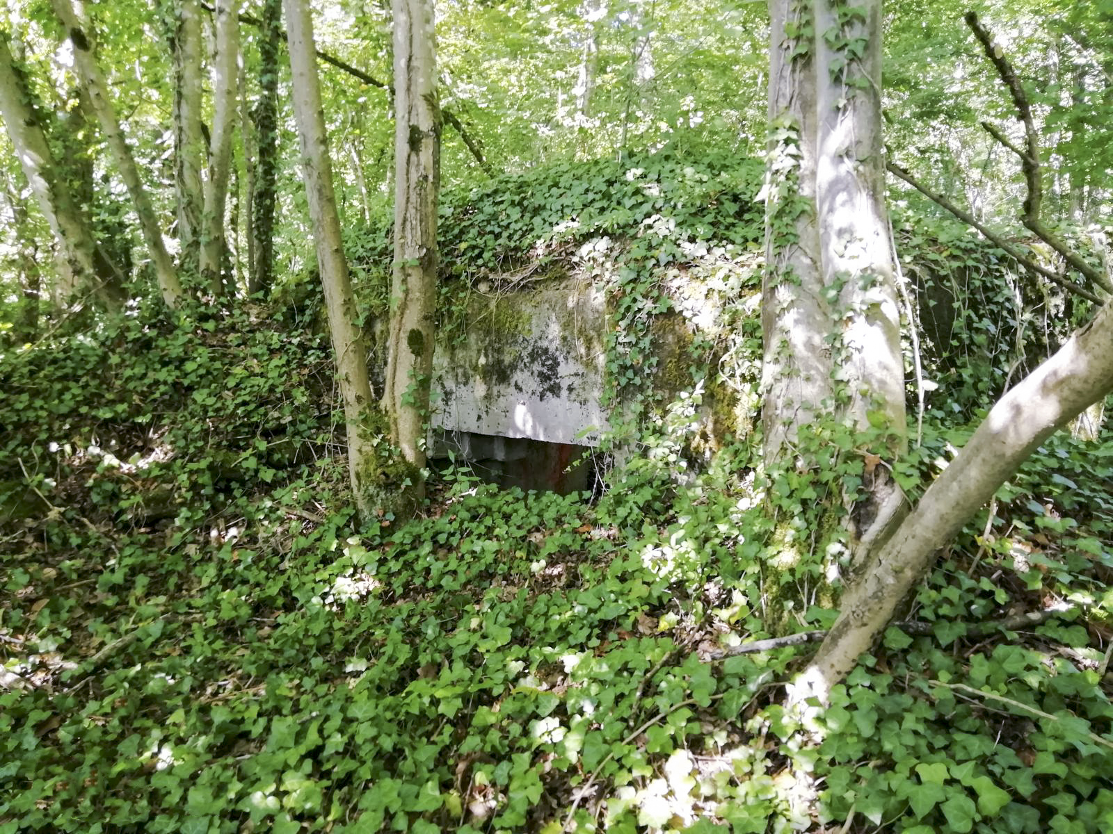 Ligne Maginot - STEINBESCH SUD - (Blockhaus pour canon) -  - Jin Jac