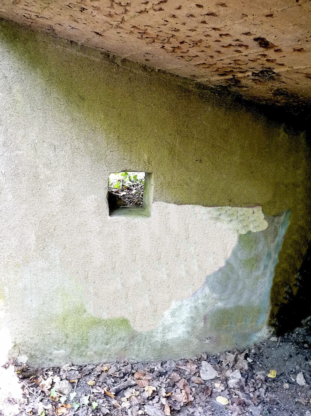 Ligne Maginot - STEINBESCH SUD - (Blockhaus pour canon) -  - Sylvie Laure LAMBERT