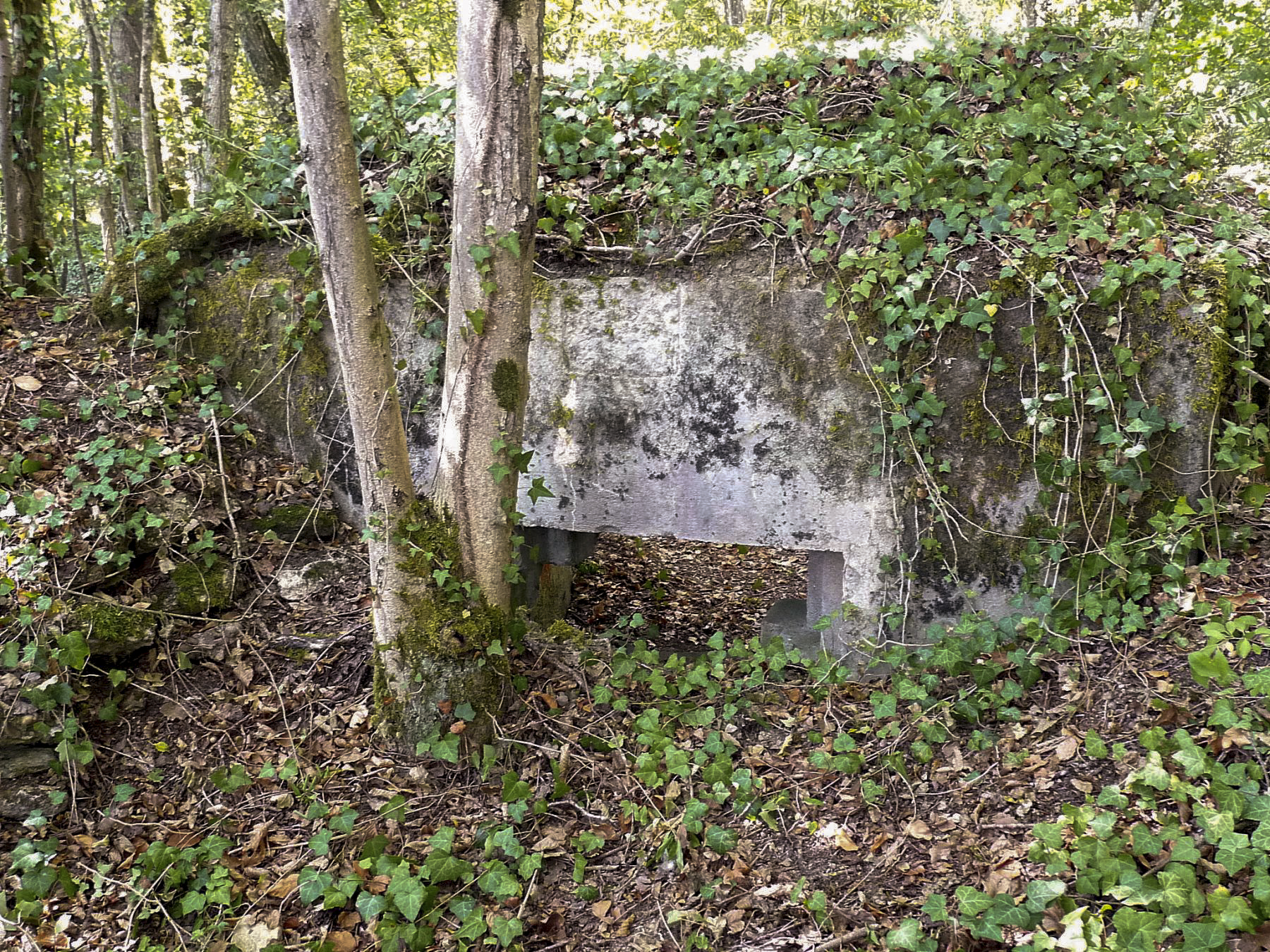 Ligne Maginot - STEINBESCH SUD - (Blockhaus pour canon) -  - Sylvie Laure LAMBERT
