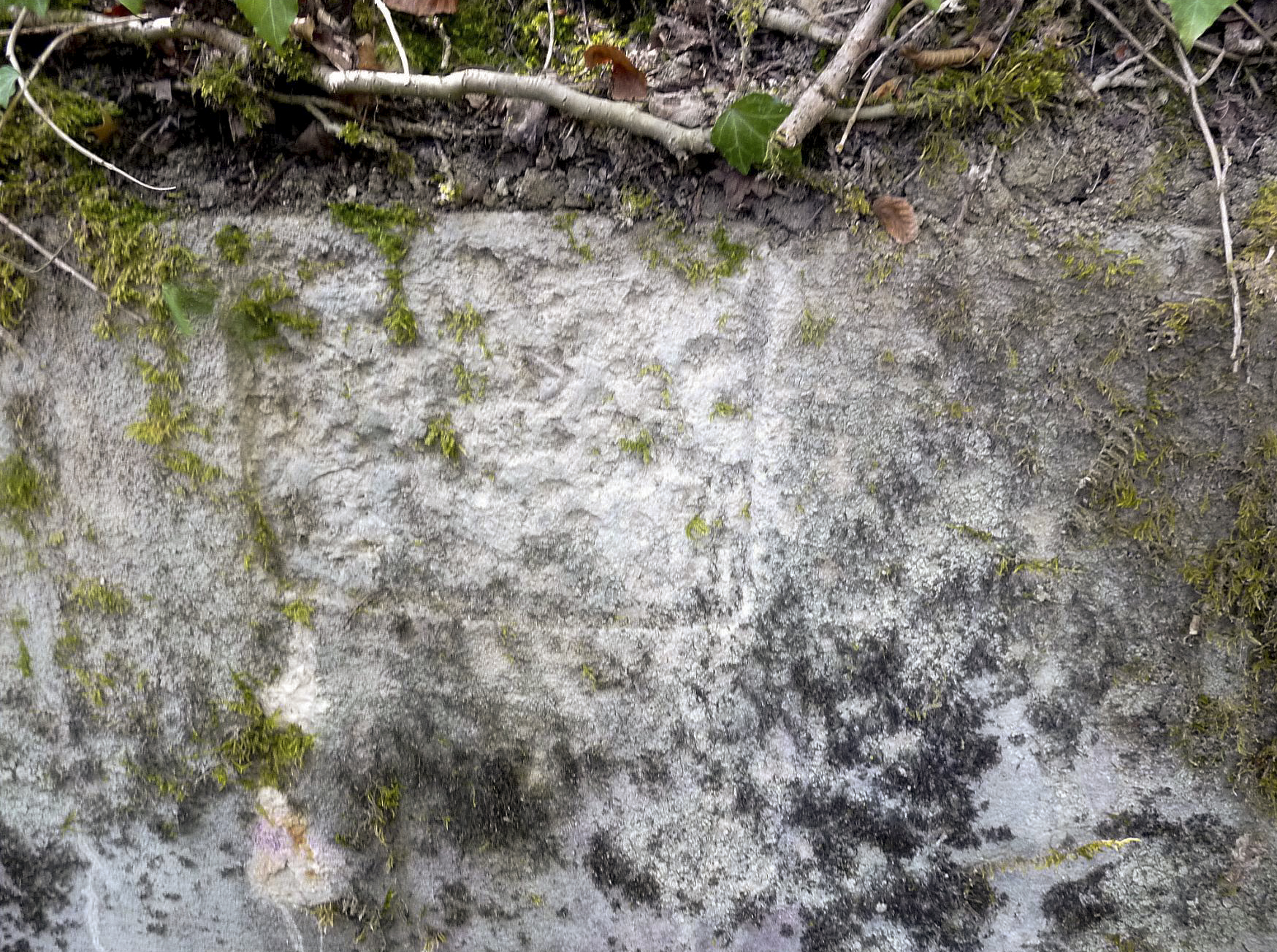 Ligne Maginot - STEINBESCH SUD - (Blockhaus pour canon) - Reste probable d'une inscription ou d'un cartouche - Sylvie Laure LAMBERT