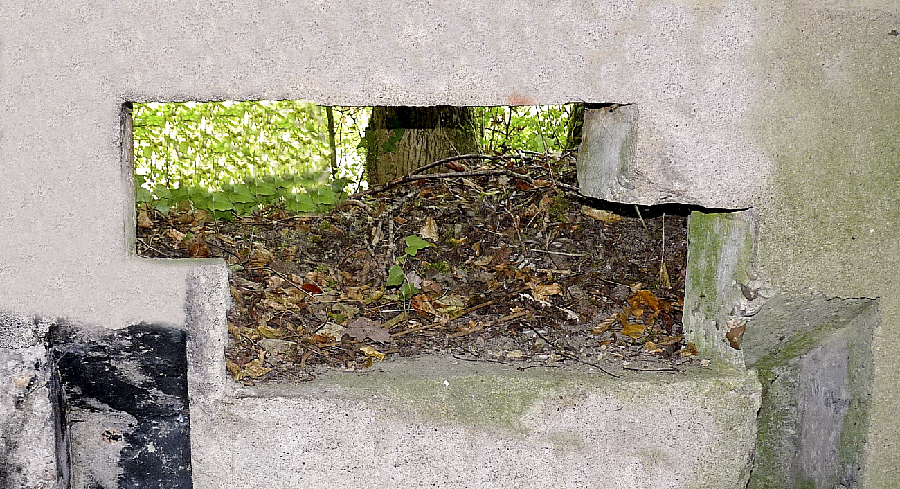 Ligne Maginot - STEINBESCH SUD - (Blockhaus pour canon) -  - Sylvie Laure LAMBERT