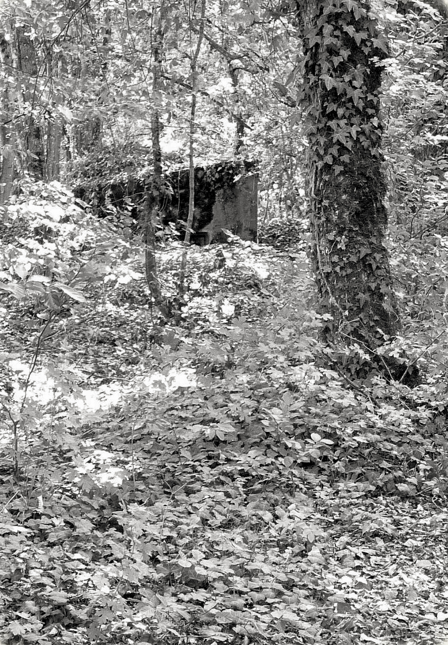 Ligne Maginot - STEINBESCH SUD - (Blockhaus pour canon) -  - Sylvie Laure LAMBERT