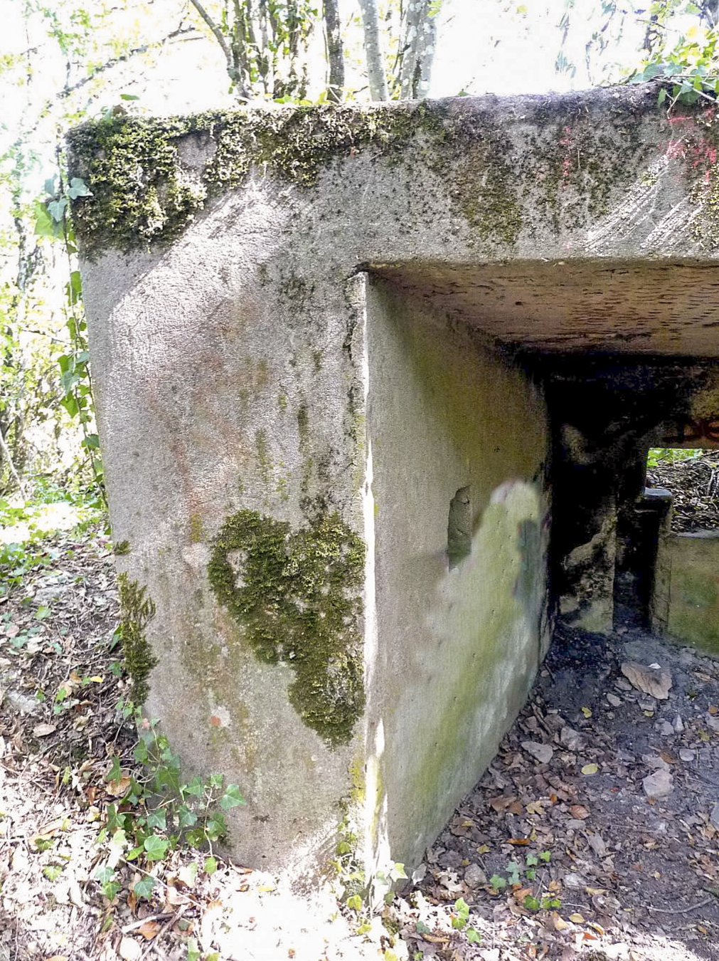 Ligne Maginot - STEINBESCH SUD - (Blockhaus pour canon) -  - Sylvie Laure LAMBERT
