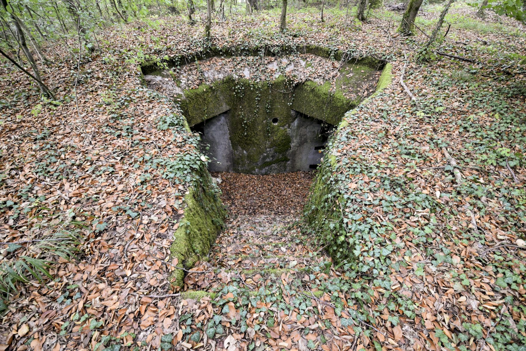Ligne Maginot - STEINBESCH NORD - (Central téléphonique d'observation) -  - Ludovic Knapp