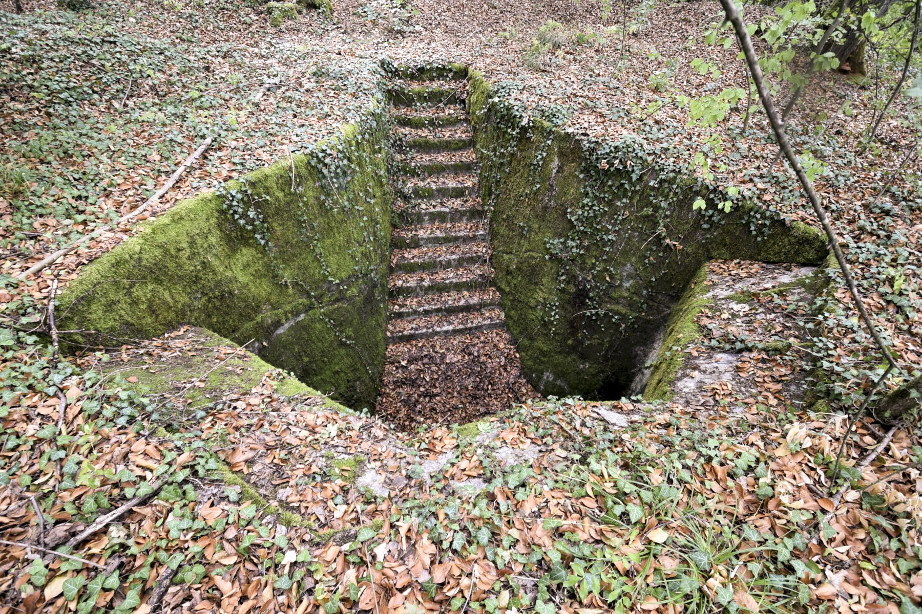 Ligne Maginot - STEINBESCH NORD - (Central téléphonique d'observation) -  - Ludovic Knapp