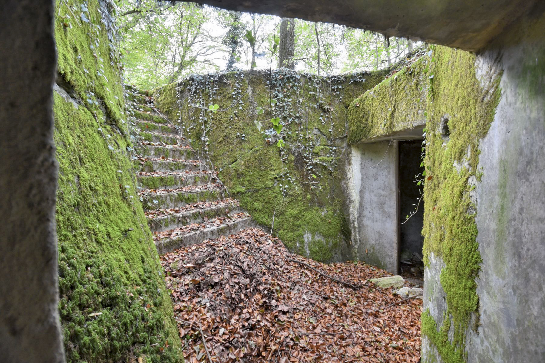 Ligne Maginot - STEINBESCH NORD - (Central téléphonique d'observation) -  - Ludovic Knapp