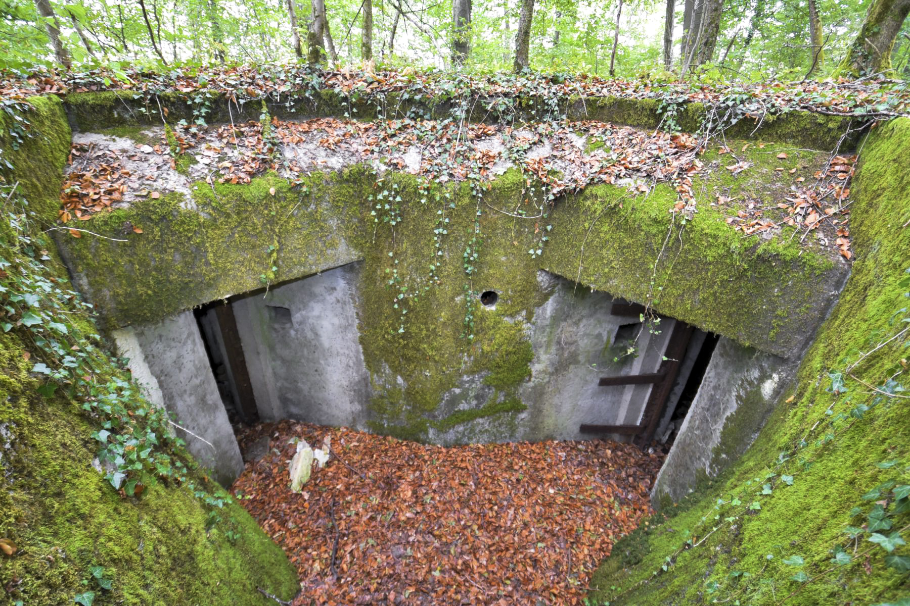 Ligne Maginot - STEINBESCH NORD - (Central téléphonique d'observation) -  - Ludovic Knapp
