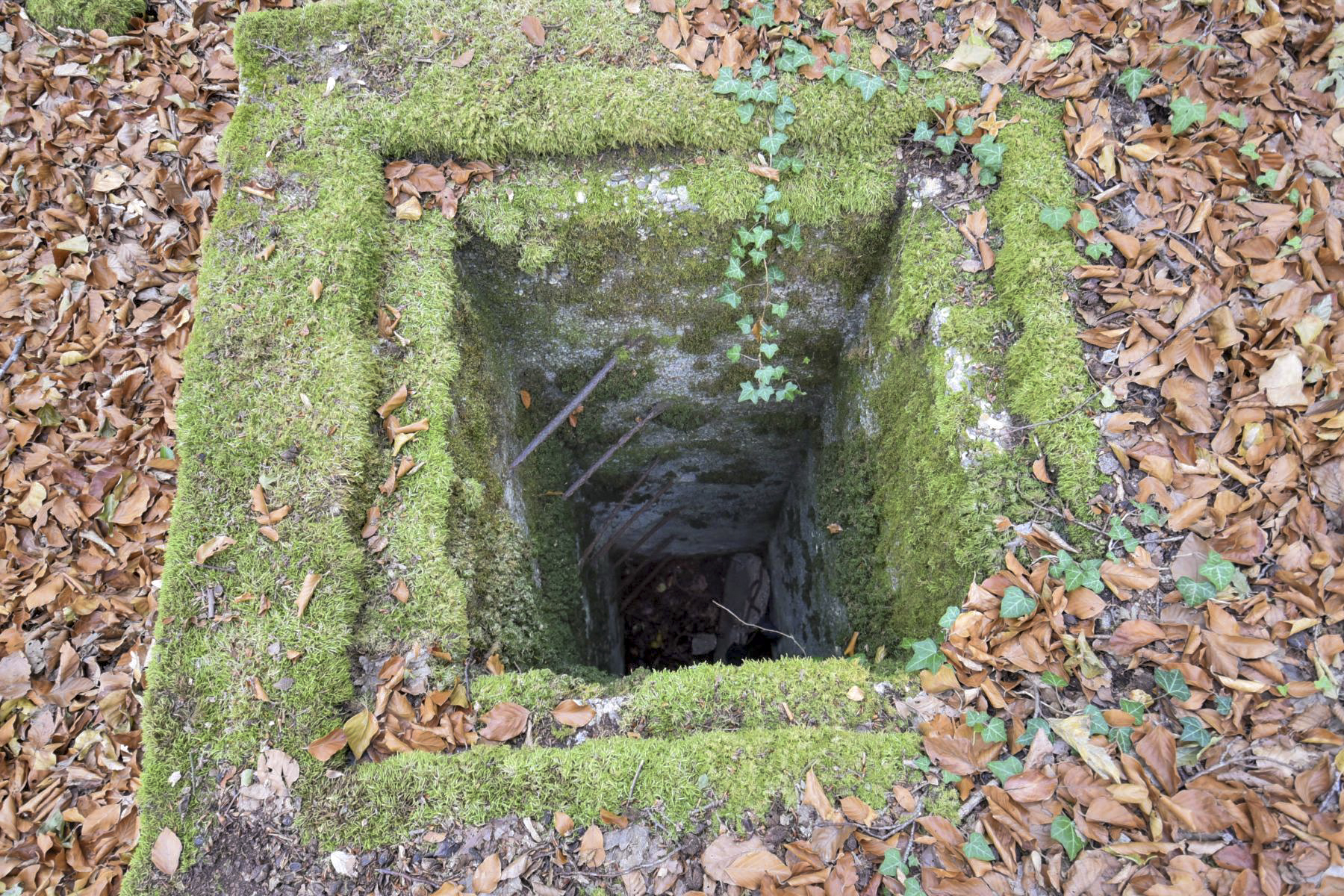 Ligne Maginot - STEINBESCH NORD - (Central téléphonique d'observation) - Evacuation des eaux usées - Ludovic Knapp