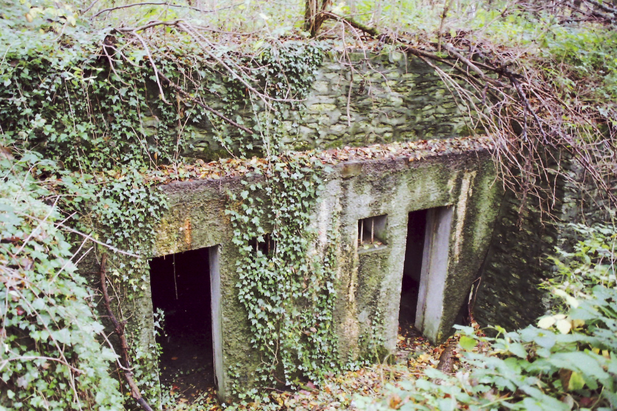 Ligne Maginot - STEINBESCH EST (146° RIF) - (PC de Sous-Secteur) -  - Alain Perouffe
