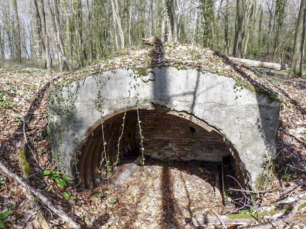 Ligne Maginot - STEINBESCH EST  - (Abri) -  - Sylvie Laure LAMBERT