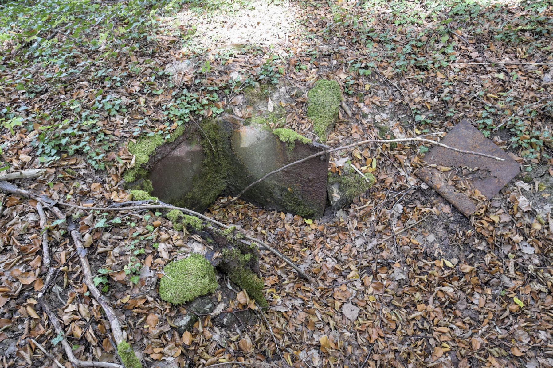 Ligne Maginot - STEINBESCH - (Observatoire indéterminé) - Les restes de la guérite pentagonale - knapp ludovic