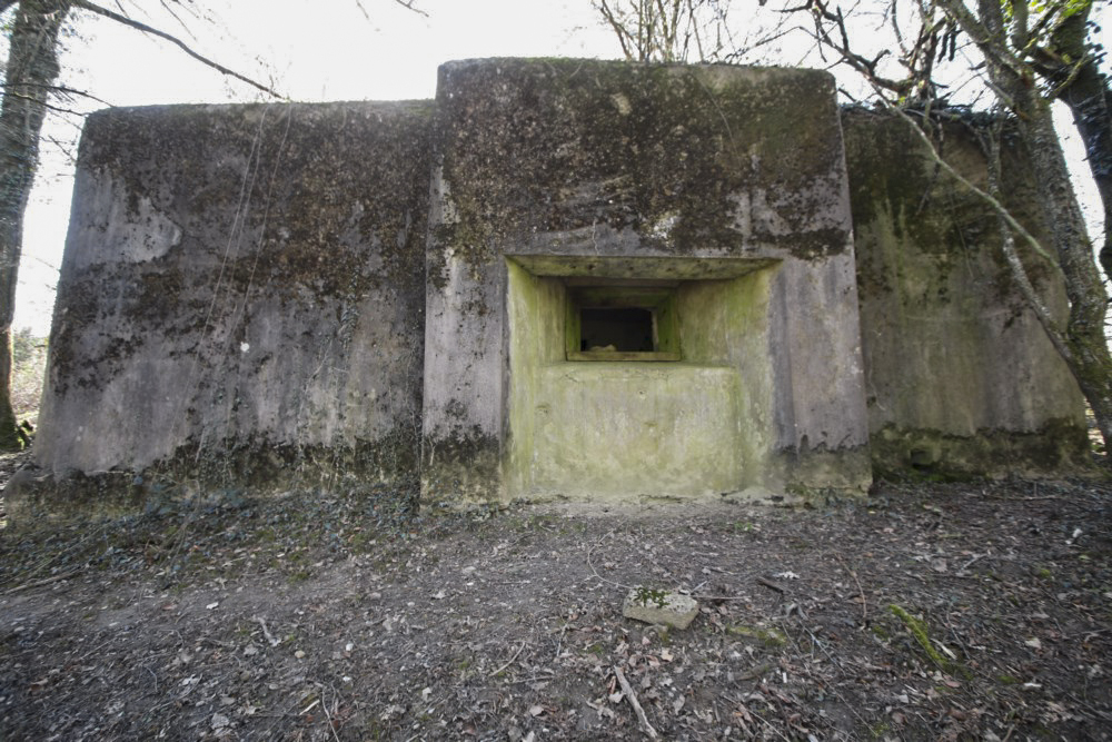 Ligne Maginot - AB8 - (Blockhaus pour canon) -  - Alain Perouffe