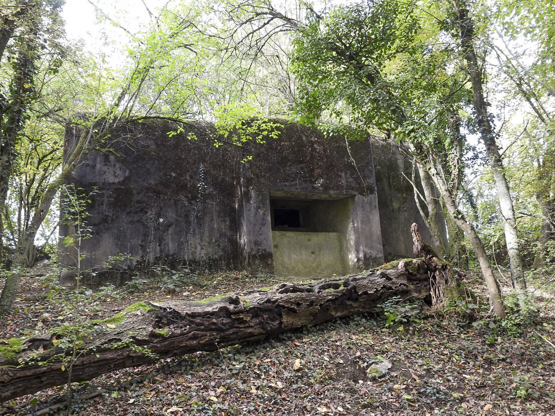 Ligne Maginot - AB8 - (Blockhaus pour canon) - La façade de tir d'action frontale - STENGER Mathieu