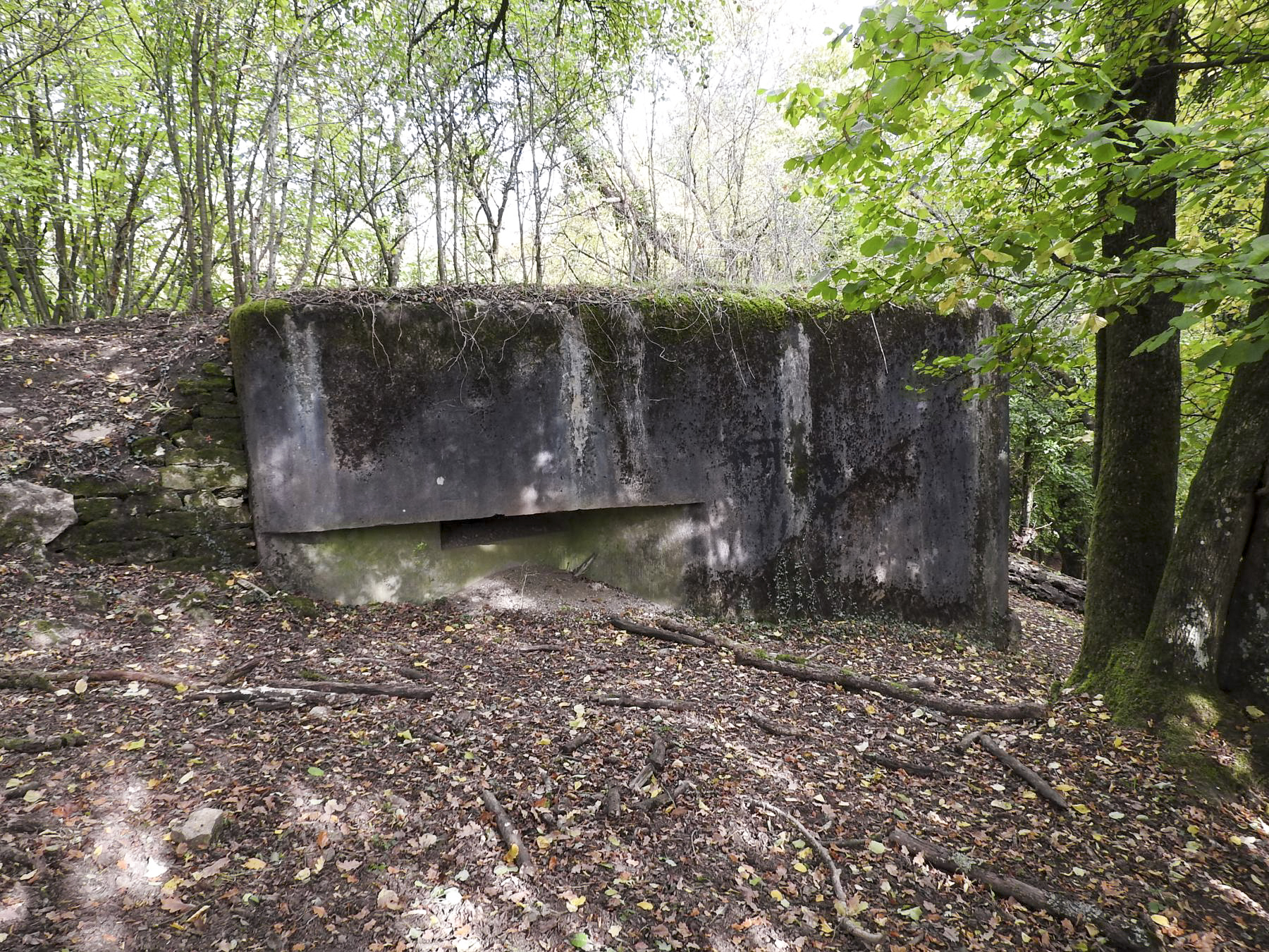 Ligne Maginot - AB8 - (Blockhaus pour canon) - Le flanquement vers la droite - STENGER Mathieu