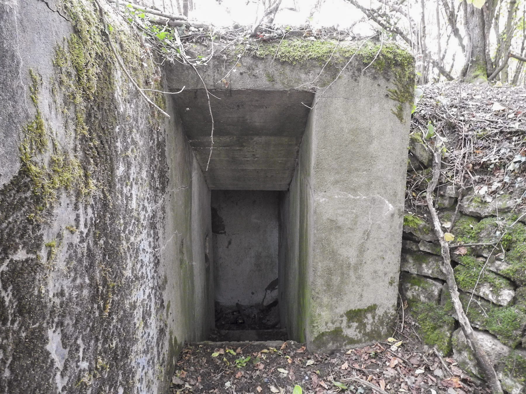 Ligne Maginot - AB8 - (Blockhaus pour canon) - L'entrée - STENGER Mathieu