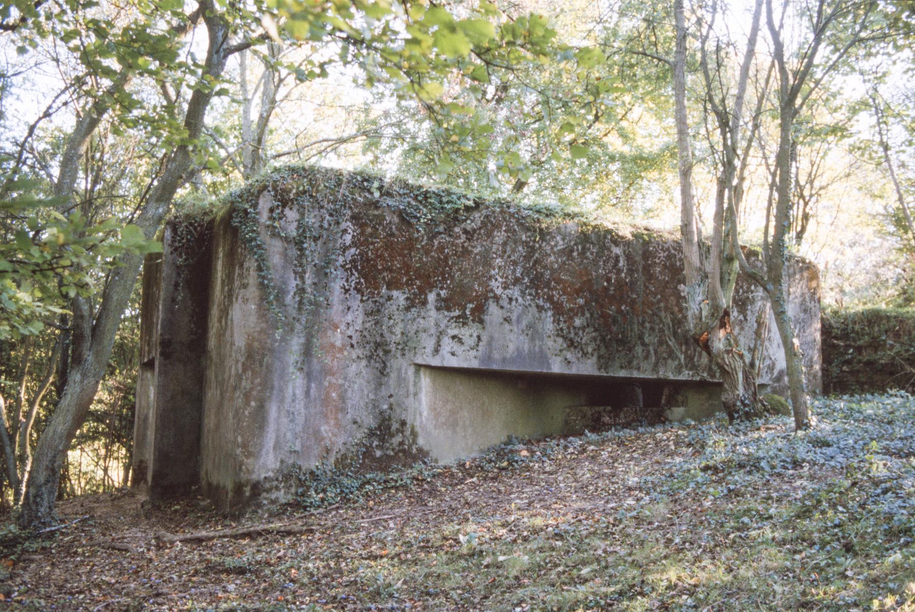 Ligne Maginot - AB8 - (Blockhaus pour canon) - Le flanquement vers la gauche - MANSUY Michel