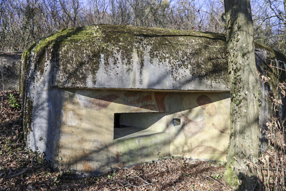 Ligne Maginot - AB9 - (Blockhaus pour arme infanterie) -            - Alain Perouffe