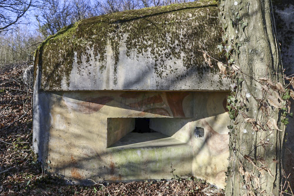 Ligne Maginot - AB9 - (Blockhaus pour arme infanterie) -             - Alain Perouffe