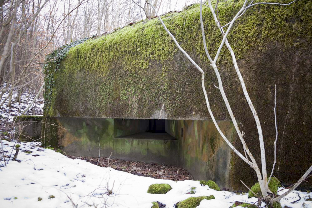 Ligne Maginot - AB12 - (Blockhaus pour canon) - Créneau latéral droit - Frédéric VIEU