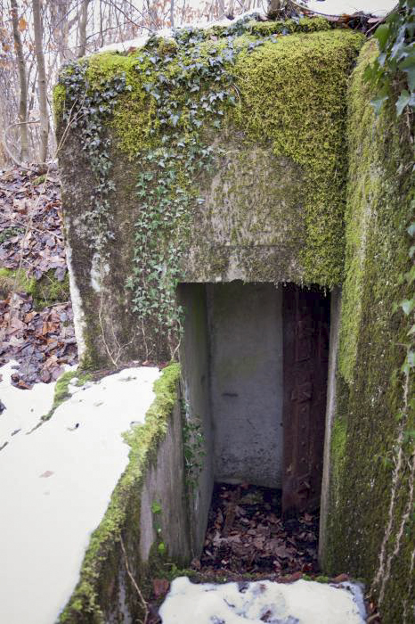 Ligne Maginot - AB12 - (Blockhaus pour canon) - L'accès - Frédéric VIEU