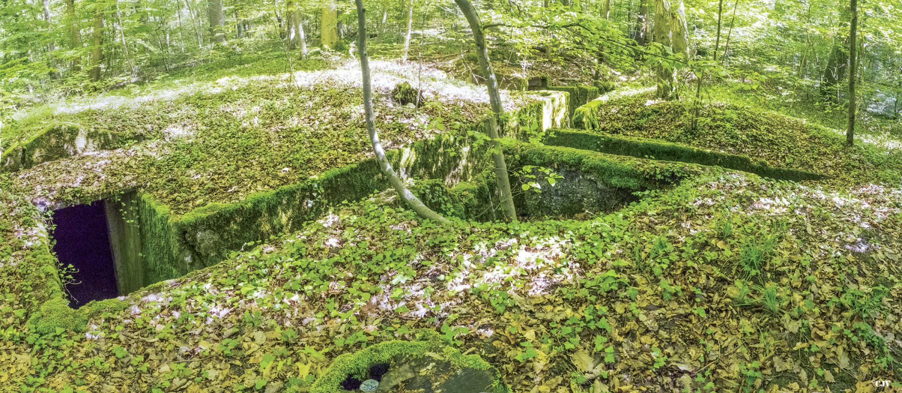 Ligne Maginot - BAMBESCH OUEST (II/156° RIF) - (PC de Quartier) - Panorama des tranchées - Lia VERMEULEN