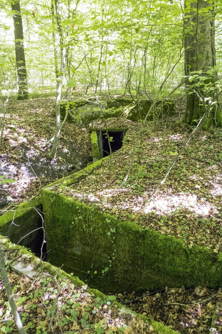 Ligne Maginot - BAMBESCH OUEST (II/156° RIF) - (PC de Quartier) - Les tranchées - Lia VERMEULEN