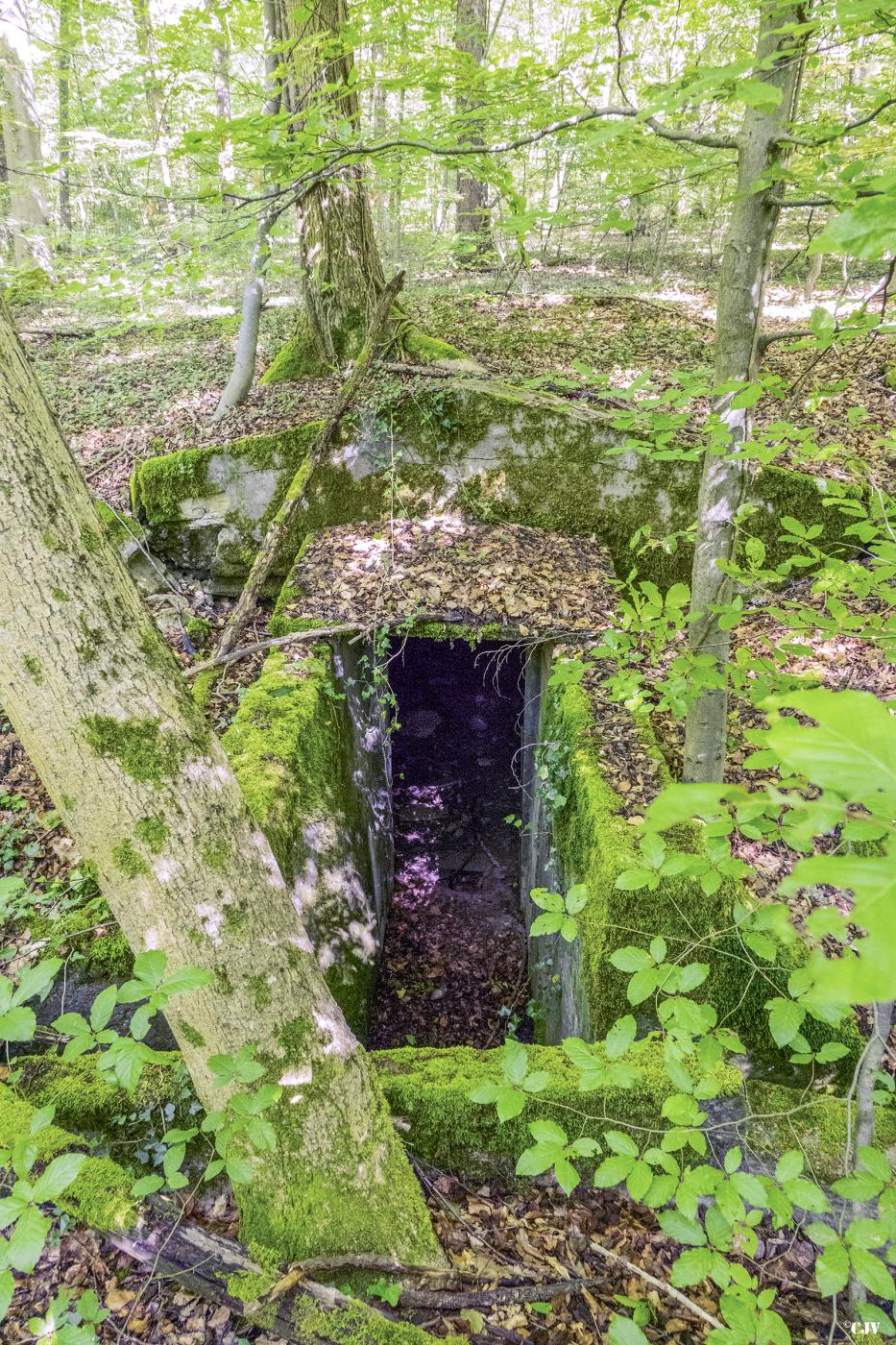 Ligne Maginot - BAMBESCH OUEST (II/156° RIF) - (PC de Quartier) -  - Lia VERMEULEN