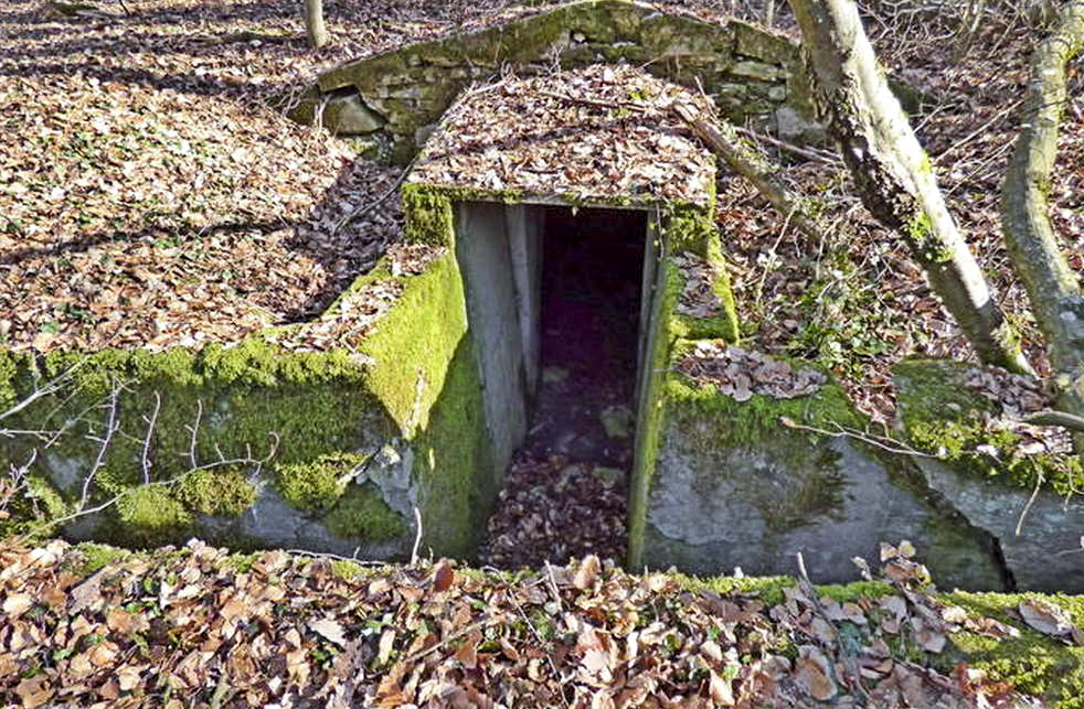 Ligne Maginot - BAMBESCH OUEST (II/156° RIF) - (PC de Quartier) -  - Sylvie Laure LAMBERT