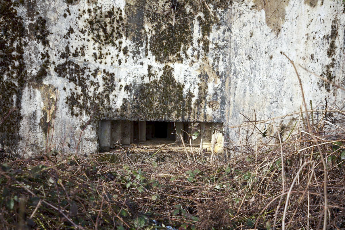 Ligne Maginot - AT31 - (Blockhaus pour arme infanterie) -  - Fré Do