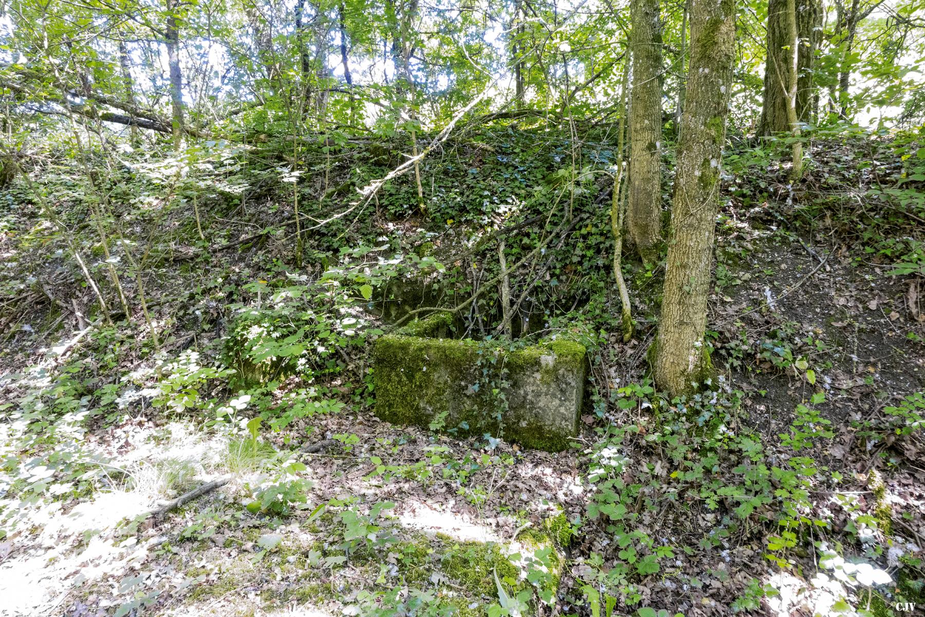 Ligne Maginot - BAMBESCH - (Dépôt de Munitions) - Abreuvoir - Lia VERMEULEN