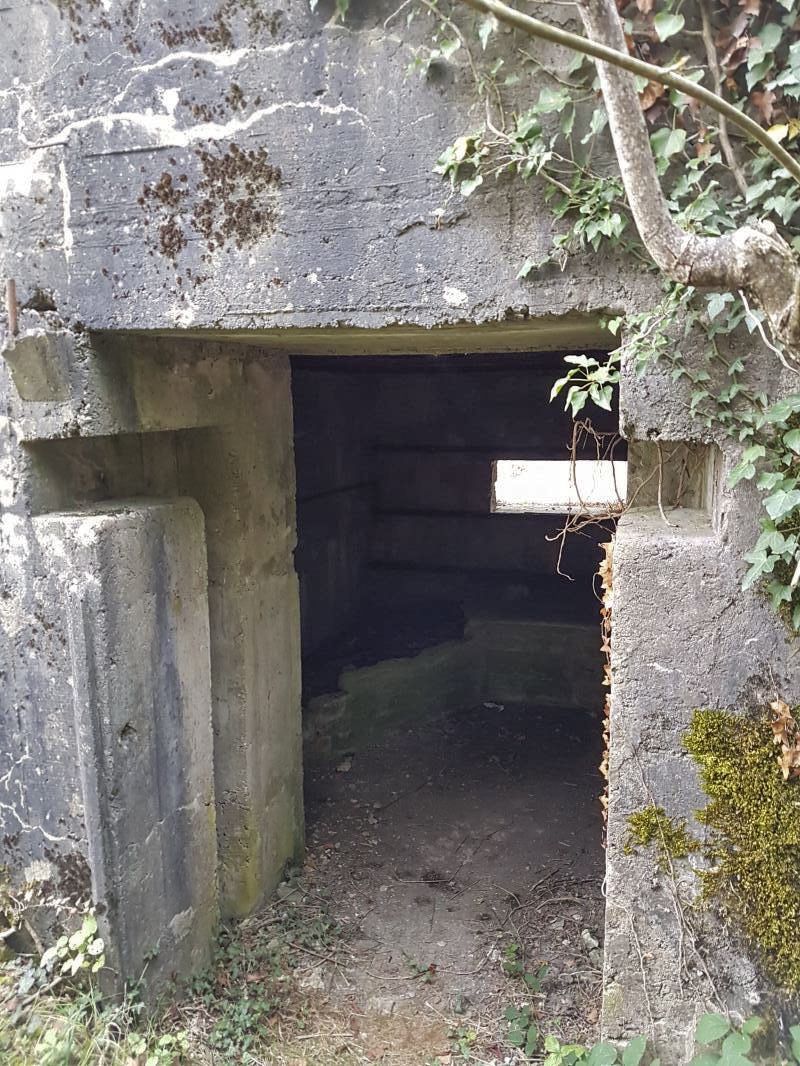 Ligne Maginot - BAMBESCH EST 1 - (Blockhaus pour canon) -  - Ellena-Cuny